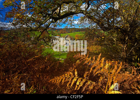 Autumnal view of the ruins of Bolton Abbey in the Yorkshire Dales. Stock Photo