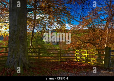 Autumnal view of the ruins of Bolton Abbey in the Yorkshire Dales. Stock Photo