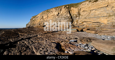 A panoramic view of the sandstone cliffs of Dunraven Bay. Stock Photo