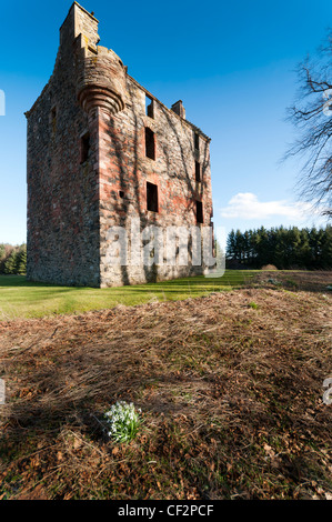 Greenknowe Tower, a 16th century tower house near the village of Gordon, in the Scottish Borders. Although a roofless ruin, the Stock Photo