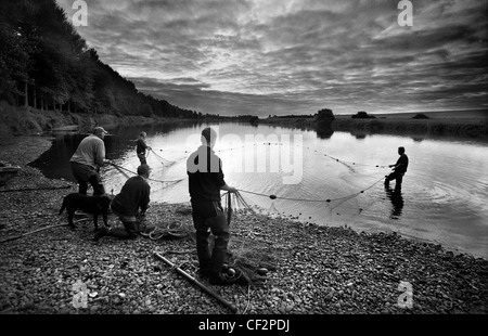 Traditional net fishermen fishing on the River Tweed at Paxton House on the Scottish Border. Stock Photo