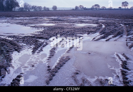 Wintry landscape with frozen puddles at rutted entrance to flat muddy field and distant trees bushes and fields Stock Photo