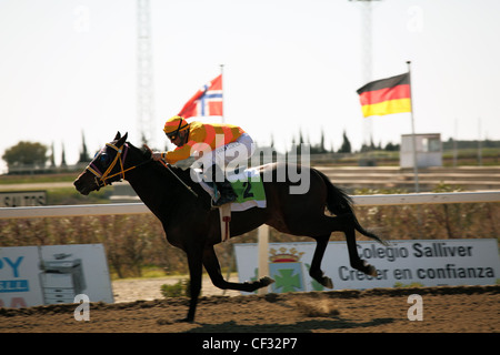 Racehorse Makalali wining the second race at Mijas Hipodromo race course near Fuengirola ridden by Ivan Lopez Stock Photo