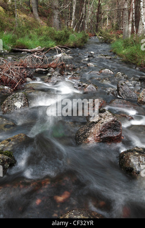 Water flowing along a burn connecting Loch an Eilein and Loch Gamnha. Stock Photo