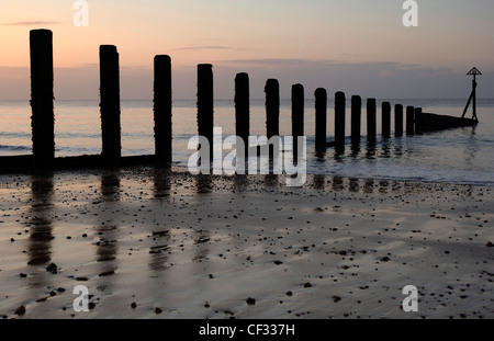 A groyne leading from the beach out to sea at Holland Haven Country Park near Clacton-on-Sea. Stock Photo