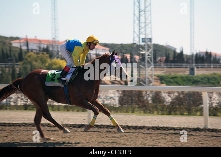 Jockey S Martin rides Lisselan Phraoah to victory in race 3 at Mijas Hipodromo Racecourse Fuengirola Costa del Sol Stock Photo