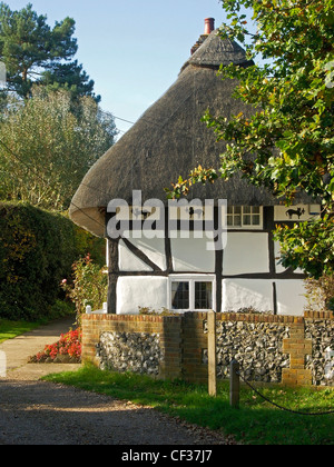 The Cat House at Pinchnose Green, a thatched cottage featuring painted images of a cat holding a canary. Stock Photo