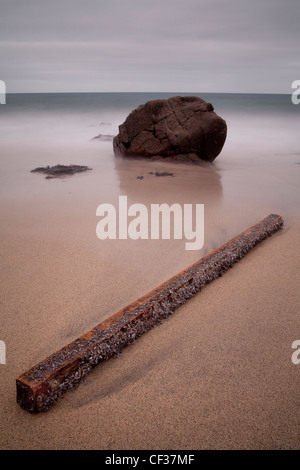 Long exposure of a washed up log covered in Goose Barnacles(Lepas anserifa), Portheras Cove, Cornwall. Stock Photo