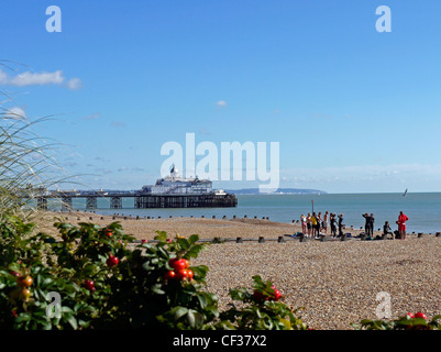 A class preparing for a watersports lesson on the pebble beach at Eastbourne with the pier in the background. Stock Photo