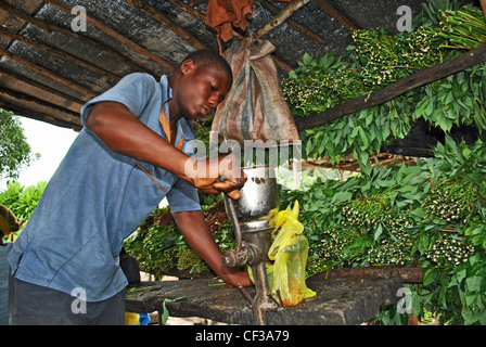 Man grinding cassava leaves in a market in Sierra Leone