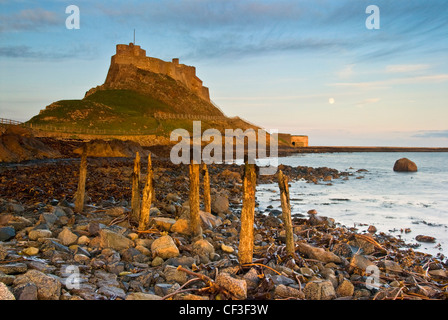 A view from the rocky beach up to Lindisfarne Castle at dawn. Stock Photo