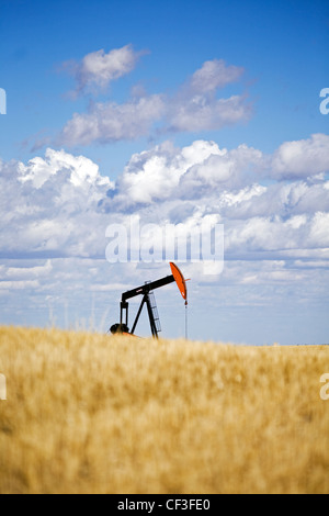 Pump jack in wheat field near Carstairs Alberta, Canada. Stock Photo