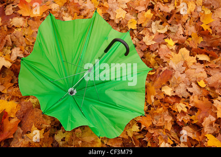 Green opened umbrella lies against yellow autumn leaves. Horizontal format. Stock Photo