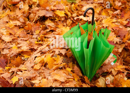 Combined green umbrella in autumn park lies on layer of the yellow fallen down maple leaves. Stock Photo