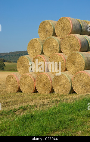 Bales of straw stacked in a field. Stock Photo