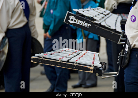 Close up of glockenspiel player in the Scout band taking part in the annual Saint George's Day parade. Stock Photo