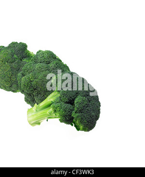 fresh green vivid broccoli isolated on white Stock Photo