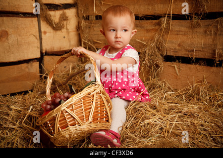 The little girl on straw with a basket of fruit against the wall of boards. Horizontal format. Stock Photo