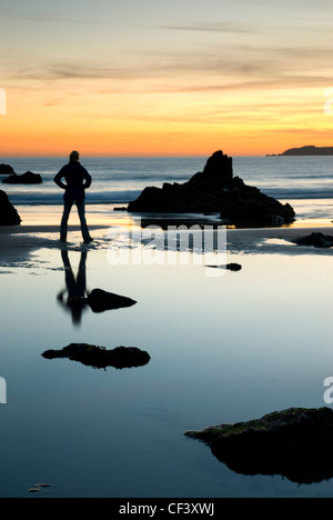 A female walker stops on a stile to read a map on the cliff above At Ann's Head in Wales. Stock Photo