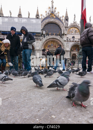 Tourists feeding pigeons on Saint Mark's square - Venice, Venezia, Italy, Europe Stock Photo