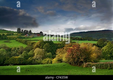 View across the hills of the Dyffryn Crawnon nature reserve as autumnal colours begin to show.