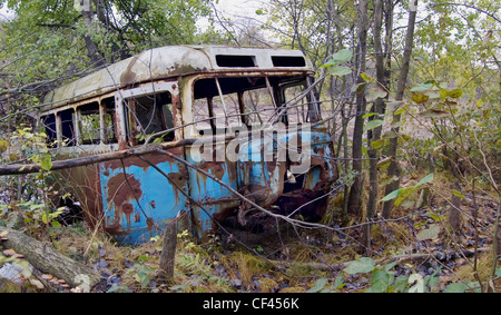 old rusty bus in forest close up Stock Photo