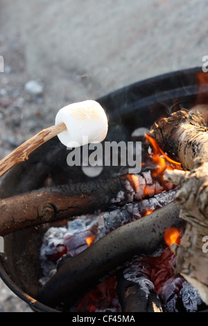 Marshmallow on the bbq Stock Photo