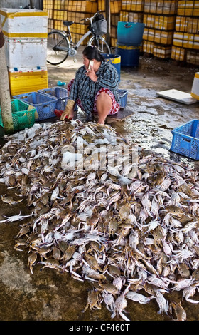 Woman fishmonger, fish market, Hoi An, Vietnam Stock Photo