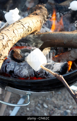 Marshmallow on the bbq Stock Photo