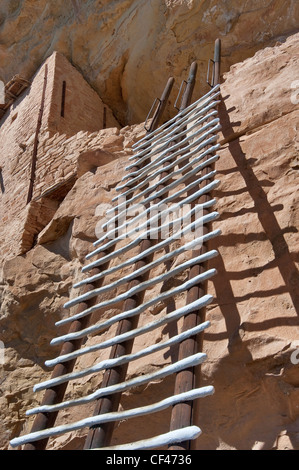Ladder at Balcony House cliff dwelling in alcove at Chaplin Mesa, Cliff Palace Loop, Mesa Verde National Park, Colorado, USA