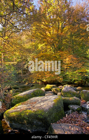 Autumnal colours on display at Dartmeet in Devon.