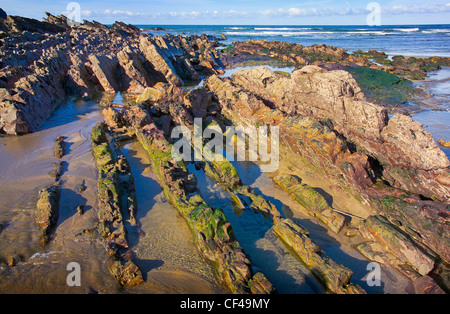 Rock strata exposed on the beach at Crackington Haven. Stock Photo