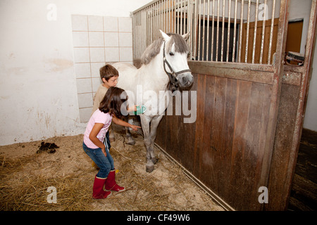 Little kids - boy and girl - grooming, cleaning and taking care of a horse in a horse stall.