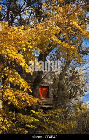 A wooden house in a tree, Christiana district in Copenhagen, Denmark, Scandinavia, Northern Europe, Baltic, EU Stock Photo
