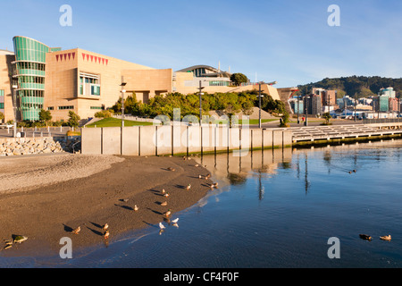 Te Papa, the national museum of New Zealand, Wellington, and the Wellington waterfront. Stock Photo