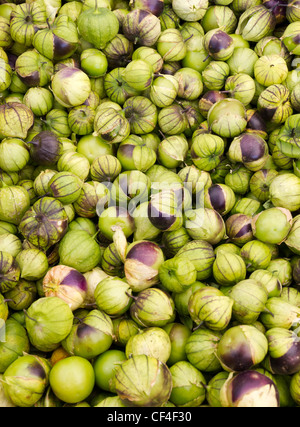 Freshly harvested tomatillos on display at the farmers market Stock Photo