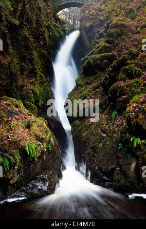 The Aira Force waterfall, probably the most famous of the Lake District's waterfalls, tumbling 70 feet from beneath a stone foot Stock Photo