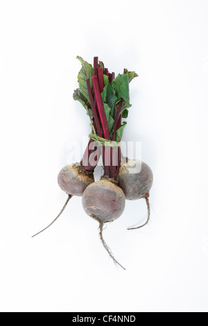 A tied bunch of three whole beetroots with stems and leaves on a white background. Stock Photo