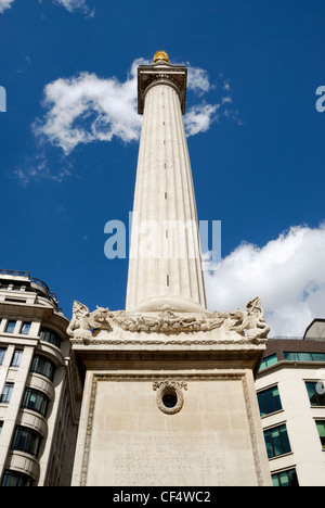 The Monument to the Great Fire of London 1666, designed by Sir Christopher Wren and Robert Hooke. Stock Photo