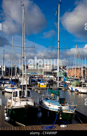Boats moored in Hull Marina. Stock Photo