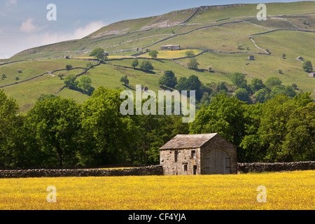 A stone barn in a wild flower meadow near Muker, Swaledale, Yorkshire Dales National Park. Stock Photo