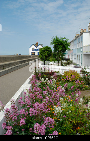 A view along the sea front cottages to the Old Neptune pub in Whitstable. Stock Photo