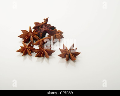 Chinese star anise on white background Stock Photo