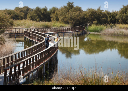 Wooden walkways through the Parque Nacional Tablas de Daimiel. Tablas de Daimiel National Park. Ciudad Real Province, Spain. Stock Photo