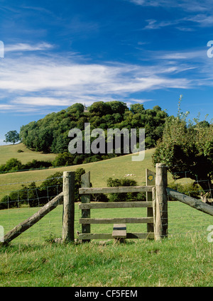 The Clwydian Way National Trail on the eastern slopes of the Vale of Clwyd. Our Lady of Sorrows rock chapel, on the hill to the Stock Photo