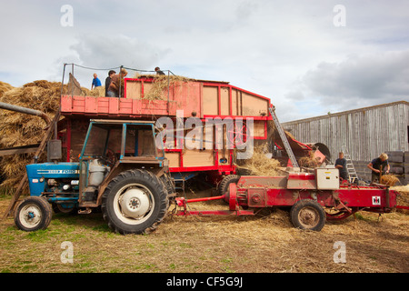 Traditional threshing machine from 1895, used to separate the grain from wheat stems used for thatching roofs. Stock Photo