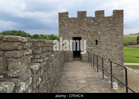 Reconstruction at Vindolanda Roman Fort, Hadrian's Wall, Northumberland, England, Great Britain, United Kingdom, UK, Europe Stock Photo