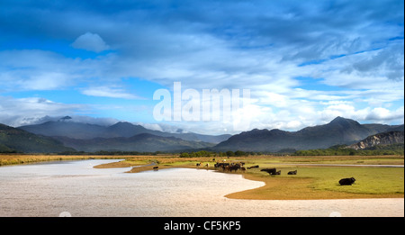 A view to the summit of Snowdon seen from the Festiniog railway bridge. The mountain is 3560 feet tall and pushes through the cl Stock Photo