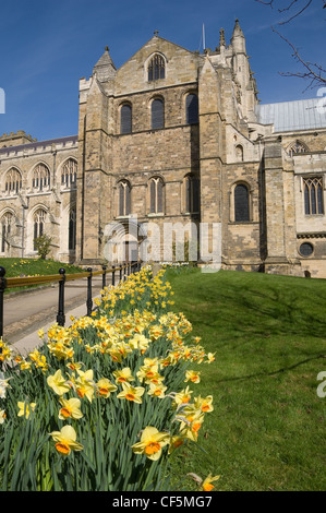 A path leading past daffodils to the entrance in the South Transept of Ripon Cathedral.
