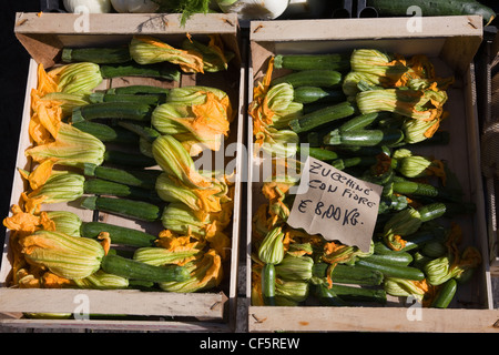 Courgettes with flowers attached for sale in an Italian greengrocer's shop Stock Photo